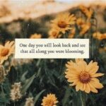 Aesthetic Blossom Quotes that will Enliven Your Senses